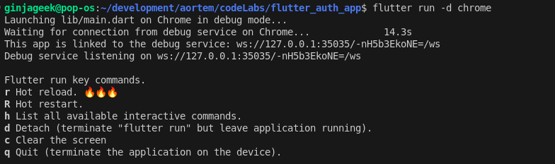 How to Implement Authentication In a Flutter Web App Using Firebase