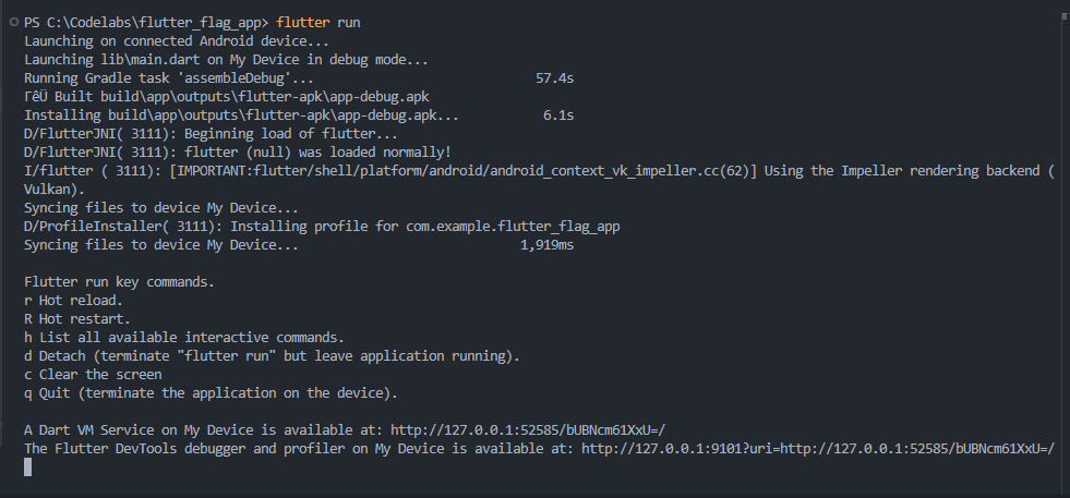 flutter_run_cmd.PNG